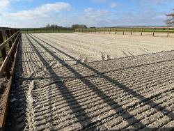 ebb and flow systems